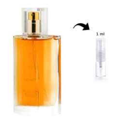 1ml Al Rehab Choco Musk EDP